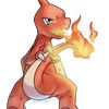 charmelonledragon