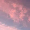 primavera_888