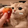 jakubkaczmarczyk44