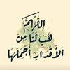 amiraameer07