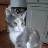 Kiara