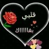 user7281231277125