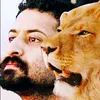 lionn_22