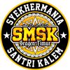 san3_kalem