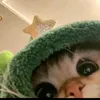 minjoye