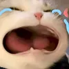 kdkkdjddjdbdjdkkd