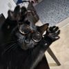 maine_gurl72