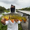 fishingwitflaco