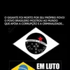 mtziin04