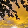 imimghaila27