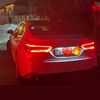 mv_hally79