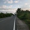 ummaafiyyah_93