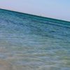 ommohamed7532
