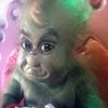 babagrincher