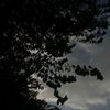 am_gd06