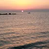 ciao_guardo_tiktok