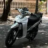 trangialong5