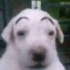 deregyu_