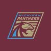 Michigan Panthers