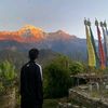 rosangrx_
