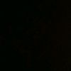 monyet._07