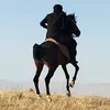 lhavenoenergyforlife1