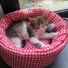 wwwmosta.com