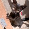 brigit_15062003