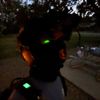 soda_eclipse2034