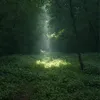 enoughhakosbkbenwkzg