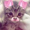 isa_sng