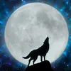wolf.libanon
