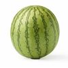 water_melon9876