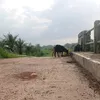 rangerbiruu1111