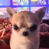 phomaiquez68