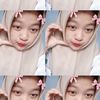 niss_447