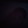 kiefh25