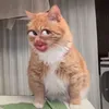 usehjh3