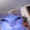 choiemhoalieu_
