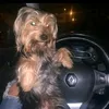 abde.abdeltif