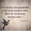 mehmet_5840