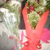 wanees58