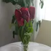 sim09031978