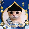 muhammatilham_