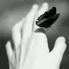 n.20242024