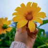 minhtrieu_88