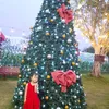 carot123567_