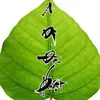 longvuong7075