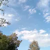 gh20.4