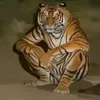 jue270307